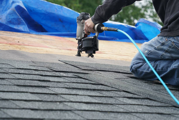 Best Storm Damage Roof Repair  in Painesville, OH