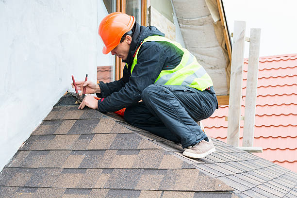 Best Roof Leak Repair  in Painesville, OH