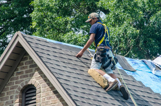 Quick and Trustworthy Emergency Roof Repair Services in Painesville, OH